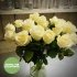 Rozen Avalanche
